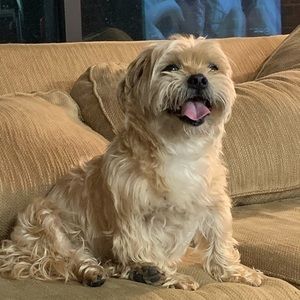 Meet your Posher, Kate